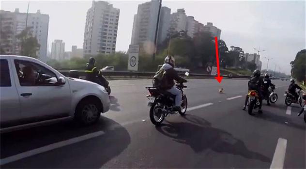 Un gruppo di motociclisti circonda un cagnolino: il motivo vi lascerà senza parole!
