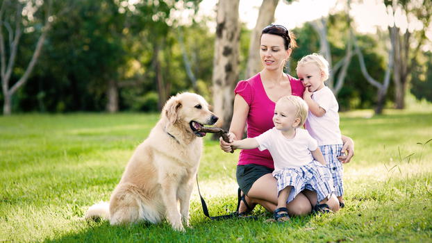 Cani a noleggio: un’altra stravaganza giapponese