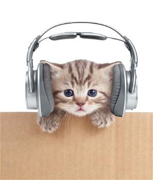 Arriva la musica composta per i nostri amici gatti