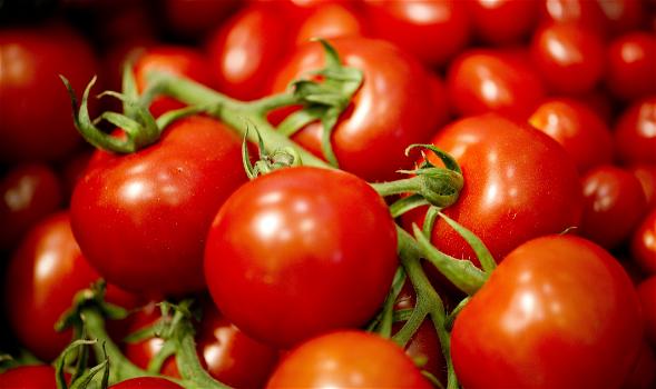 Benefici dei pomodori per tenere il corpo sempre in forma
