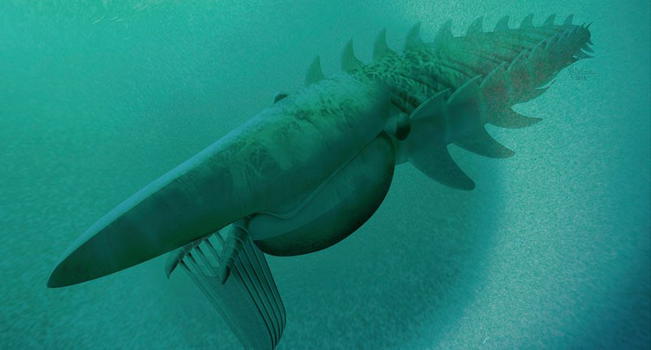 Scoperto mostro marino vissuto 480 milioni di anni fa
