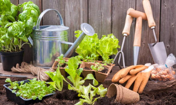 Un giardino low cost con semplici accorgimenti