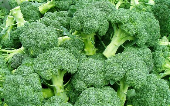 L’estratto di broccoli aiuta a combattere i tumori orali