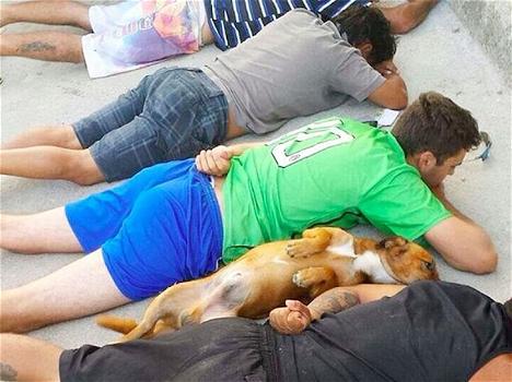 Brasile: ecco la foto della perquisizione al… cane!