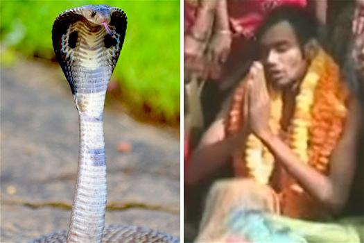 India, uomo cerca di sposare un cobra: “In un’altra vita era una bella ragazza”