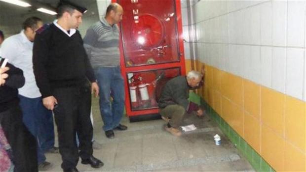 Egitto: liberato gatto che viveva da cinque anni nel muro della metro