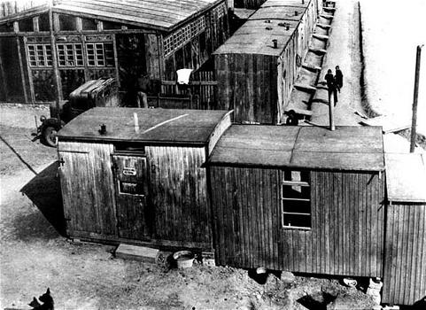 Repubblica Ceca: ecco la storia dell’allevamento di maiali costruito sul campo di concentramento dei rom