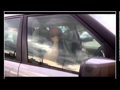 Ripreso in auto mentre era parcheggiato in un posto riservato ai disabili: aggredisce il videomaker