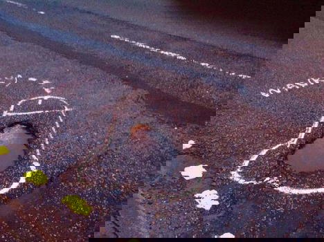 Manchester: fa riparare le buche della strada disegnando enormi peni sull’asfalto