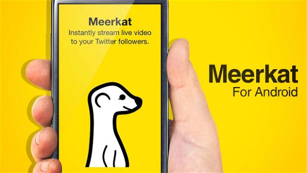 Meerkat arriva su Android e chiude con Twitter: inizia la guerra