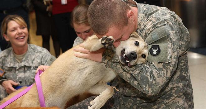 Ecco come questi cani accolgono i loro padroni di ritorno dalla guerra
