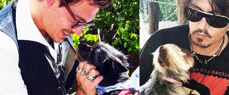 L’Australia a Johnny Depp: sopprimeremo i tuoi cani