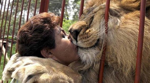 Una donna va a trovare il leone che ha cresciuto. Ecco la sua tenerissima reazione