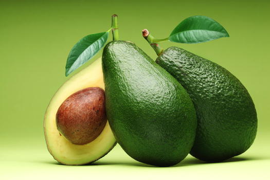Arriva dall’avocado una nuova speranza per combattere la leucemia