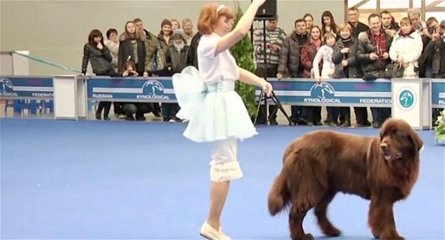 Video divertenti: Un cane balla con la sua padrona
