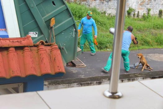 Orrore in brasile: netturbino getta cane ferito nel tritarifiuti