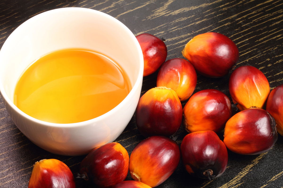 Olio di palma dove si trova e perchè fa male Olio di palma dove si trova e perchè fa male