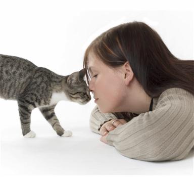 Schizofrenia: potrebbero essere i gatti i responsabili della malattia