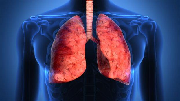 Cancro al polmone, 51% dei malati salvi con immuno-oncologia