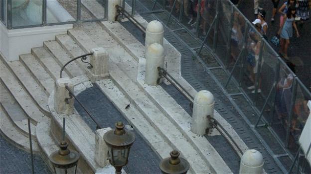 Fontana di Trevi invasa dai ratti. "E’ una vergogna"