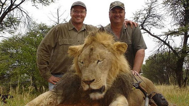 Zimbabwe: dentista americano decapita Cecil, leone-simbolo del parco