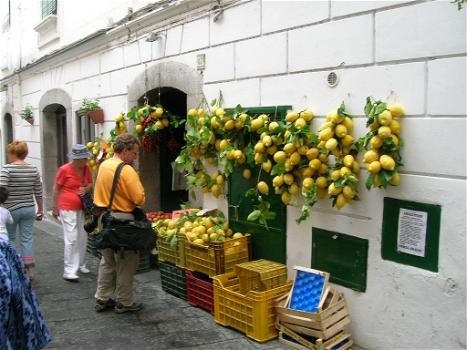 In arrivo la prima linea cosmetica prodotta dagli scarti del limone Igp di Amalfi