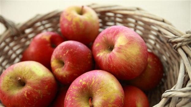 Benefici della mela: un frutto gustoso che fa bene all’organismo