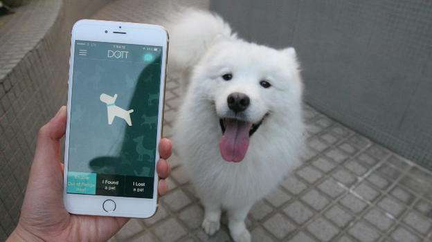 Dott, la medaglietta smart per ritrovare il tuo cucciolo smarrito