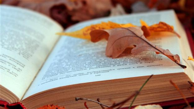 Cinque libri ricchi di magie ed intrighi da leggere in autunno