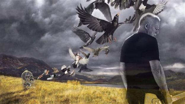 "Rattle that Lock": il nuovo album di David Gilmour