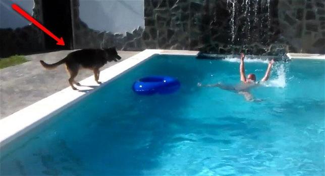 Il padrone finge di annegare. Ecco cosa fa il suo cane