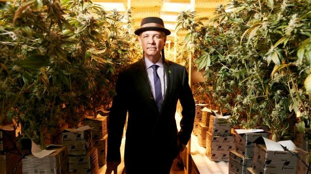 La storia di Steve DeAngelo, l’imprenditore ‘Re della cannabis’