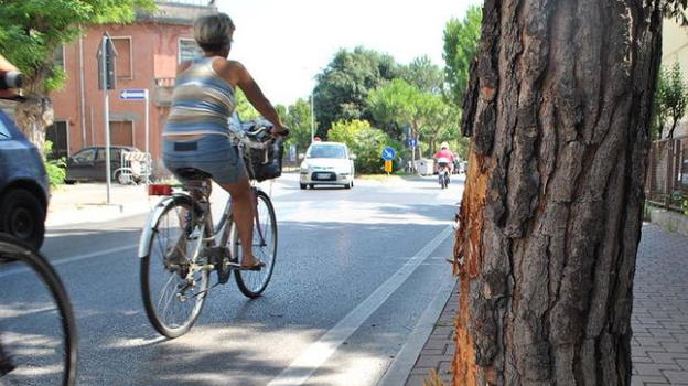 Catturati i due pirati della strada di Rimini e Foligno