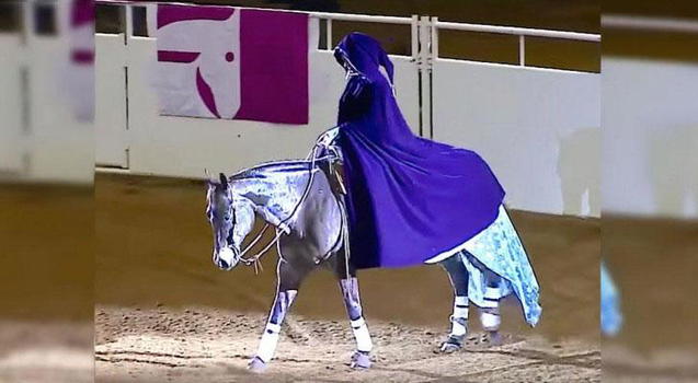 Ecco un’esibizione a cavallo davvero bellissima