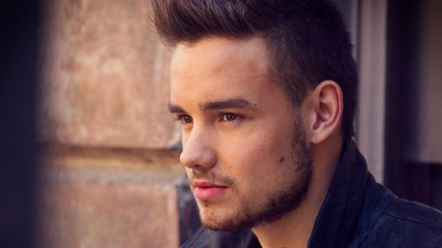 Liam Payne distrutto dalla fine della relazione con Sophia Smith