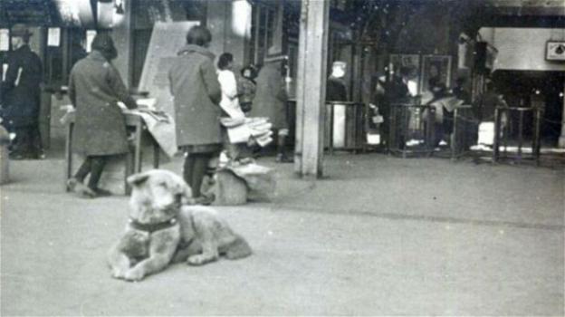 Hachiko: ritrovata foto inedita del cane più fedele del mondo