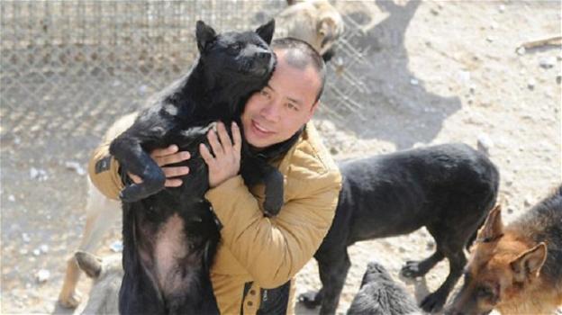 Cina: ragazzo costruisce un rifugio per cani randagi a sue spese