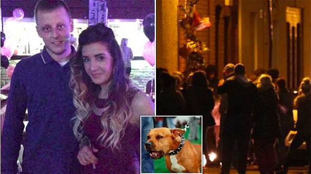Ragazzo inglese muore in seguito ai morsi del pitbull della fidanzata