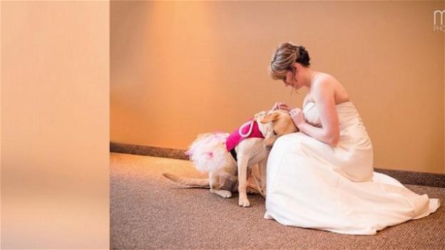 USA: una sposa e il suo cane inseparabili anche nel giorno del matrimonio. La foto diventa virale