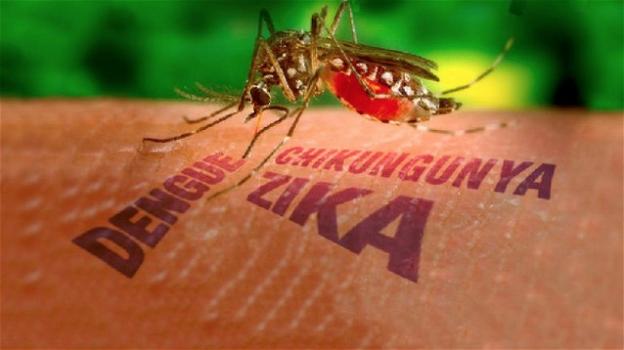 Nuovo virus dall’America latina: Zika, primi casi anche in Italia