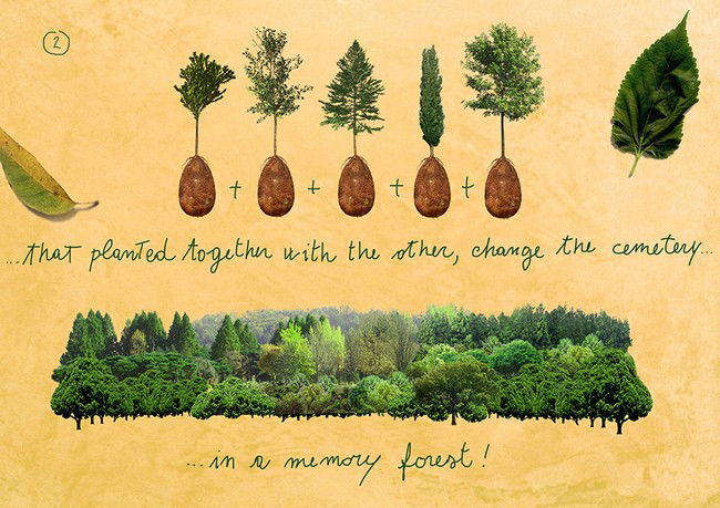 Le bare ed il cimitero vi fanno paura? Con Capsula Mundi il defunto diventa un albero