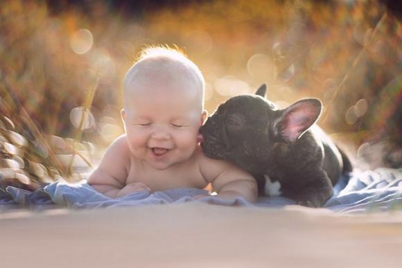 Ogni Quanto Fanno Le Uova Gli Inseparabili