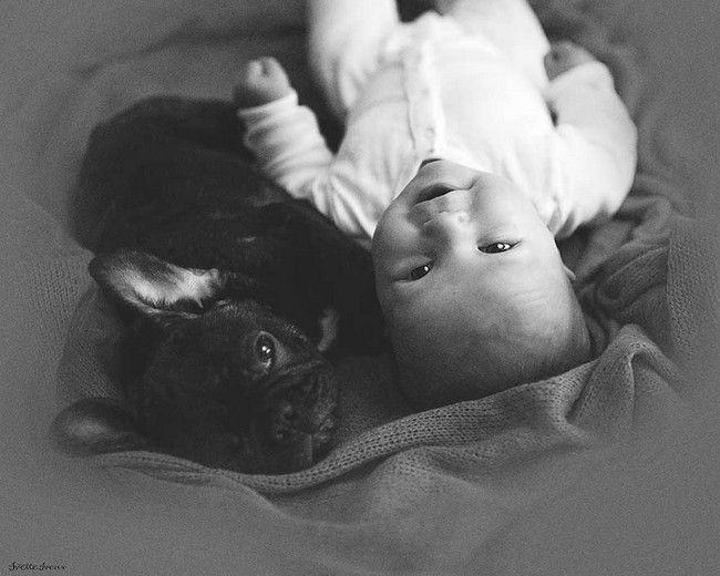 Nati nello stesso giorno, bulldog e bebè sono inseparabili. Tenerezza infinita!