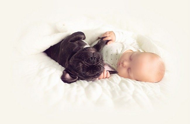 Nati nello stesso giorno, bulldog e bebè sono inseparabili. Tenerezza infinita!