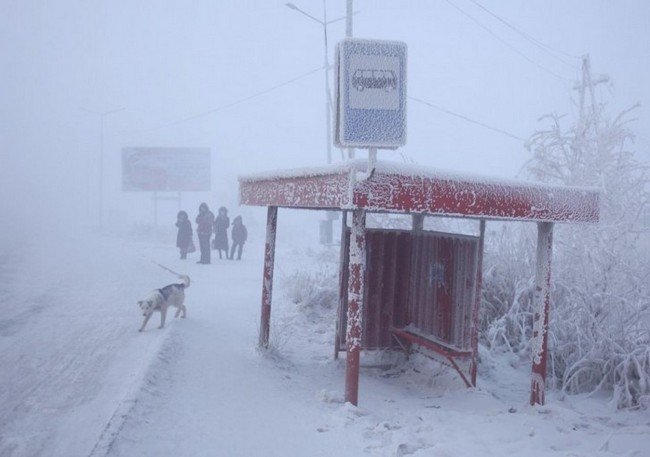 Ecco come si vive nel villaggio più freddo al mondo a -71.2°C. Pazzesco!