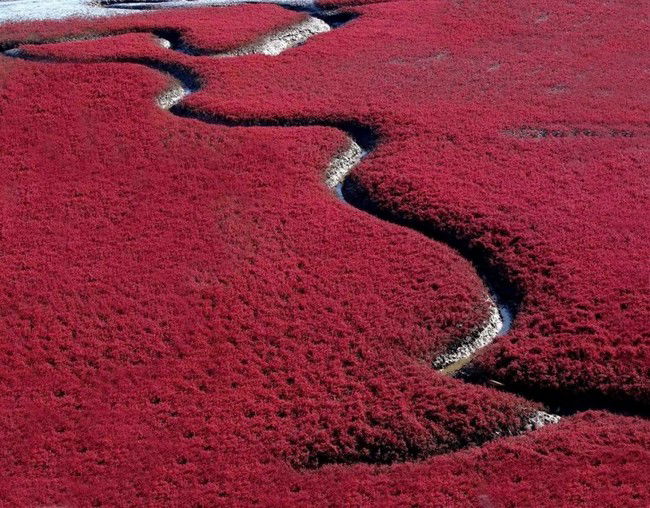 I 15 luoghi più strani del pianeta. Rimarrete senza parole!
