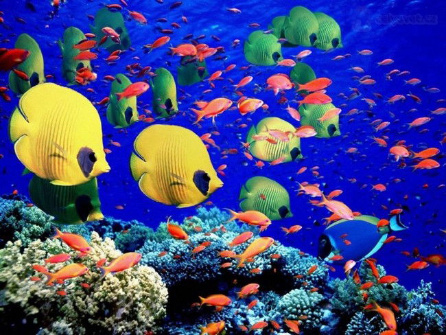 I 15 luoghi più strani del pianeta. Rimarrete senza parole!
