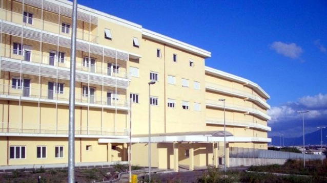 "Ho fatto sesso col mio cane". Ricoverata per gravi lesioni interne