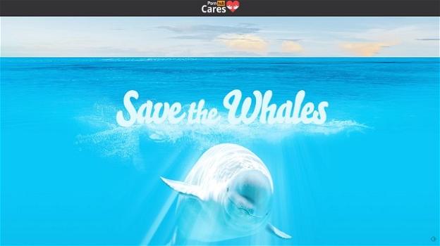 Save the Whales, l’iniziativa "pro balene" del sito hard PornHub