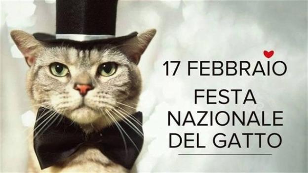 Tanti auguri ai gatti: oggi 17 febbraio è la festa nazionale del gatto